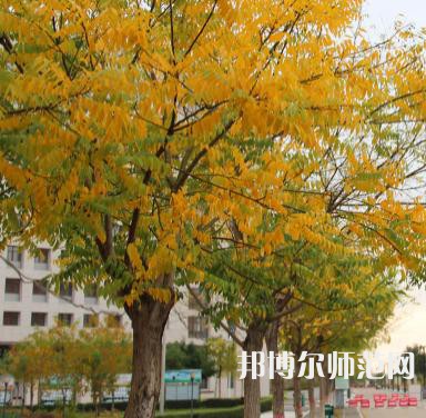 延川幼師職教中心2023年學(xué)費、收費多少