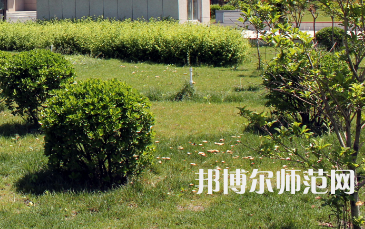 安陽幼兒師范高等?？茖W校歷年招生錄取分數(shù)線