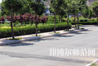 安陽幼兒師范高等?？茖W(xué)校2023年有哪些專業(yè)