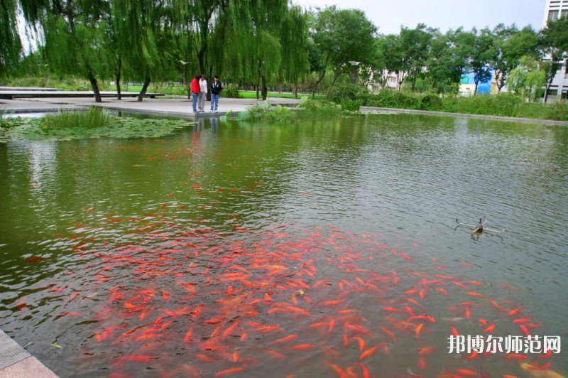 濰坊科技師范學(xué)院2023年怎么樣、好不好 