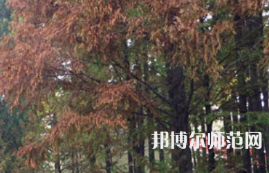 信陽師范學(xué)院2023年怎么樣、好不好