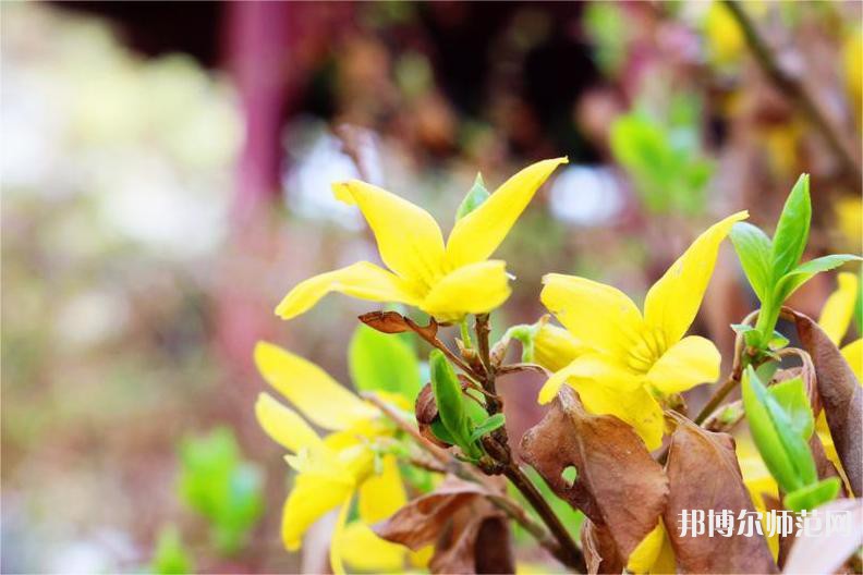 長(zhǎng)春理工師范大學(xué)2023年怎么樣、好不好