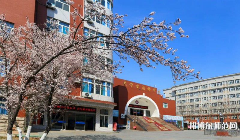 山東英才師范學(xué)院北校區(qū)2023年怎么樣、好不好 