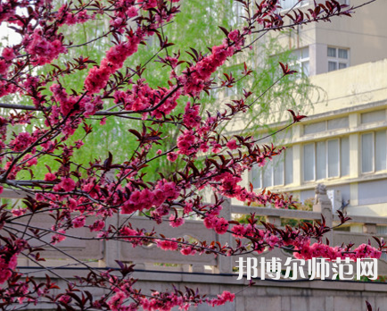 蘇州科技師范大學(xué)天平學(xué)院2023年報(bào)名條件、招生要求、招生對(duì)象
