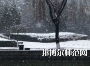 焦作師范高等?？茖W校2023年招生代碼