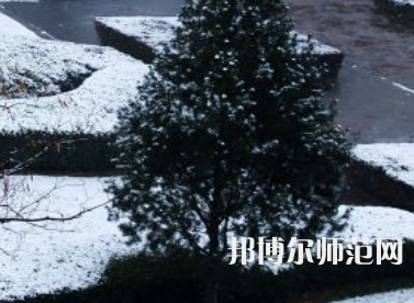 焦作師范高等?？茖W(xué)校2023年報名條件、招生要求、招生對象