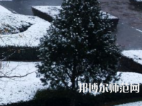 焦作師范高等?？茖W校2023年報名條件、招生要求、招生對象