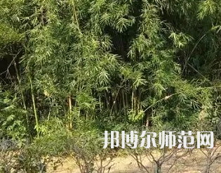 湖南理工師范學院南湖學院2023年怎么樣、好不好
