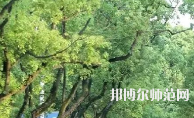 湖南理工師范學(xué)院南湖學(xué)院2023年報(bào)名條件、招生要求、招生對(duì)象