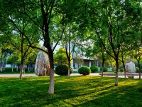 山東財(cái)經(jīng)師范大學(xué)圣井校區(qū)2023年怎么樣、好不好