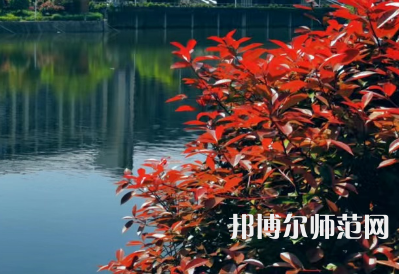 南華大學(xué)船山師范學(xué)院雨母校區(qū)2023年報名條件、招生要求、招生對象
