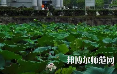 南華師范大學(xué)紅湘校區(qū)2023年報(bào)名條件、招生要求、招生對(duì)象
