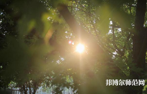 咸陽(yáng)職業(yè)技術(shù)師范學(xué)院2023年報(bào)名條件、招生要求、招生對(duì)象