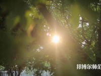 咸陽職業(yè)技術(shù)師范學(xué)院2023年報(bào)名條件、招生要求、招生對象
