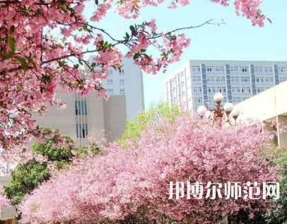 中國礦業(yè)師范大學(xué)徐海學(xué)院2023年報名條件、招生要求、招生對象