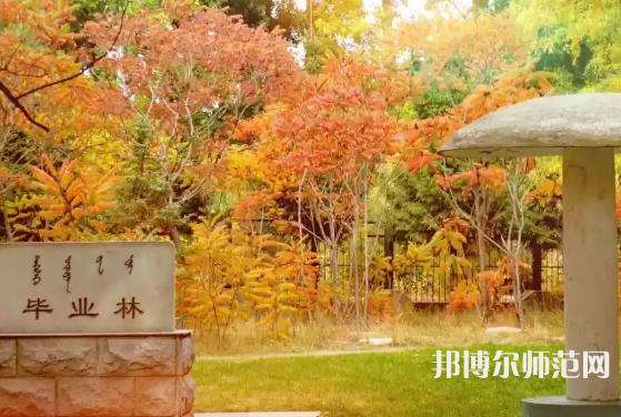 內(nèi)蒙古大學(xué)師范學(xué)院滿洲里學(xué)院2023年怎么樣、好不好