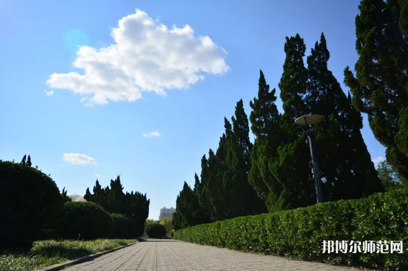 山東石油化工師范學(xué)院2023年報(bào)名條件、招生要求、招生對(duì)象 