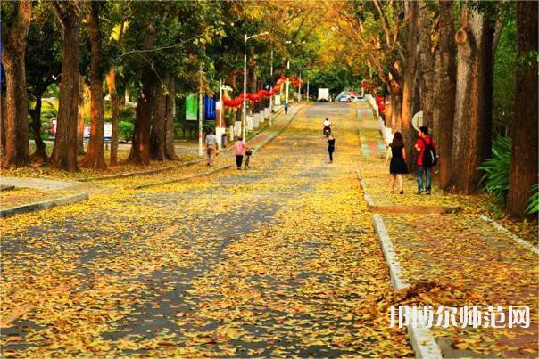海南大學(xué)師范學(xué)院海甸校區(qū)2023年報(bào)名條件、招生要求、招生對(duì)象 