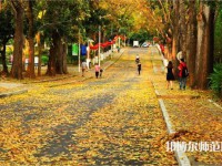 海南大學師范學院海甸校區(qū)2023年報名條件、招生要求、招生對象