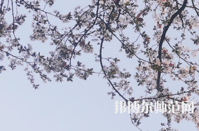 湖南第一師范學(xué)院城南書院校區(qū)2023年學(xué)費(fèi)、收費(fèi)多少