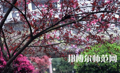 湖南第一師范學(xué)院城南書院校區(qū)2023年怎么樣、好不好