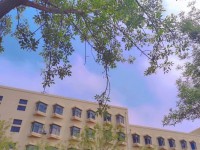 青島師范大學(xué)浮山校區(qū)2023年報(bào)名條件、招生要求、招生對(duì)象