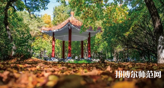 黑龍江師范大學(xué)2023年報(bào)名條件、招生要求、招生對(duì)象 