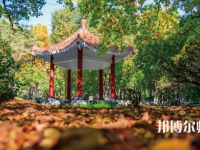 黑龍江師范大學(xué)2023年報(bào)名條件、招生要求、招生對(duì)象
