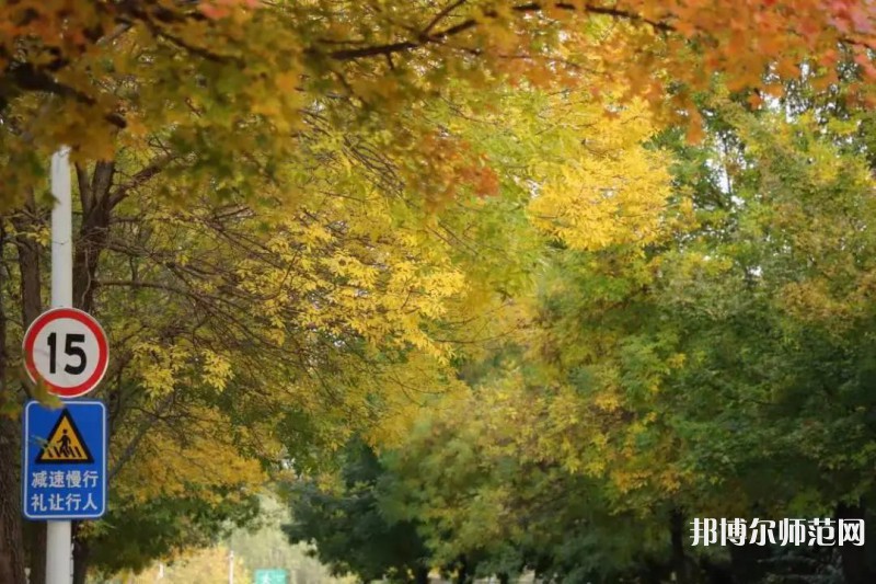 濟(jì)南幼兒師范高等?？茖W(xué)校2023年有哪些專業(yè)
