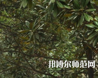 湖南師范大學(xué)樹達(dá)學(xué)院2023年學(xué)費(fèi)、收費(fèi)多少