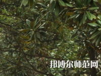 湖南師范大學樹達學院2023年學費、收費多少