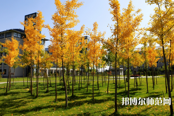 瀘州啟明幼師職業(yè)技術(shù)學(xué)校2023年學(xué)費(fèi)、收費(fèi)多少