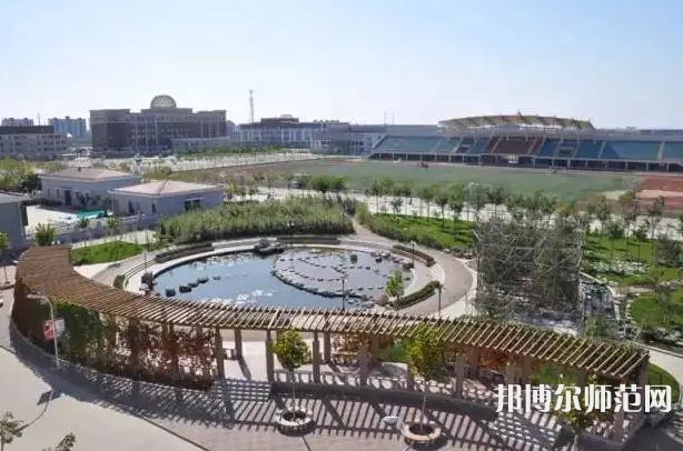 天津外國(guó)語師范大學(xué)濱海校區(qū)2023年有哪些專業(yè)