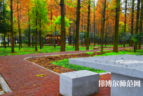 長江大學(xué)文理學(xué)院2023年怎么樣、好不好
