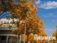南京師范大學(xué)泰州學(xué)院2023年報(bào)名條件、招生要求、招生對(duì)象