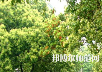 衡陽師范學院南岳學院2023年怎么樣、好不好