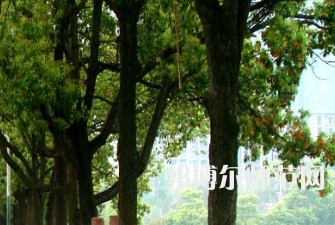 衡陽師范學院南岳學院2023年怎么樣、好不好