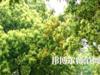 衡陽師范學院南岳學院2023年怎么樣、好不好