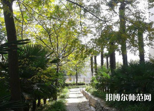 西北大學師范學院桃園校區(qū)2023年怎么樣、好不好