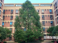 四川師范大學(xué)成都學(xué)院眉山校區(qū)2023年怎么樣、好不好